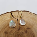 Natural Shell Drop Earrings: White